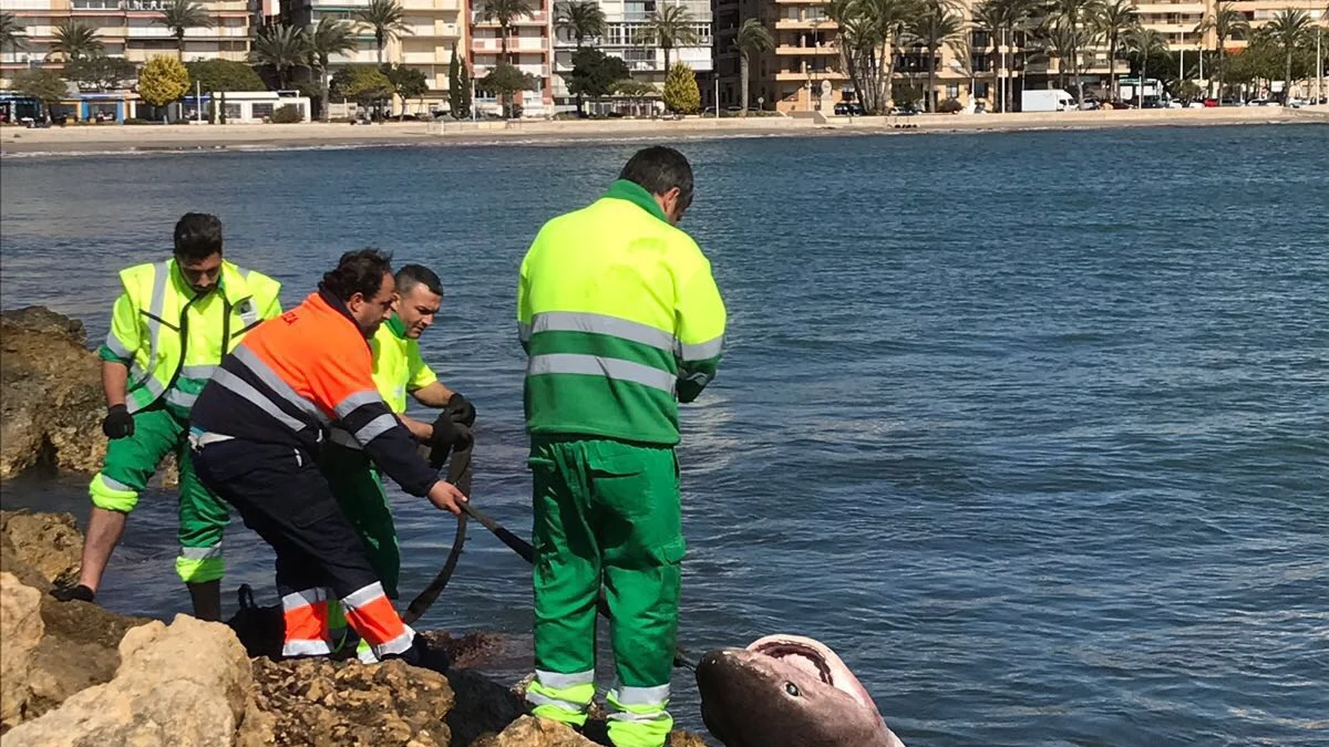 SANTA POLA