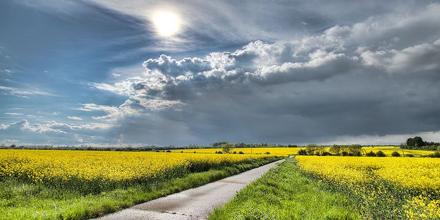 ¿Cómo será la primavera? ¿Cómo será la primavera?