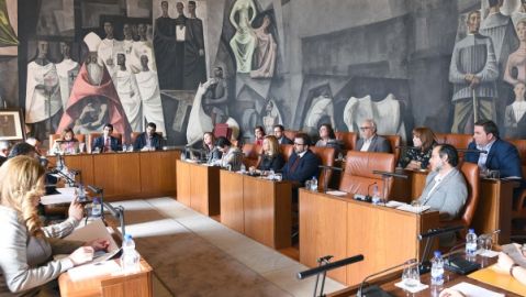 Pleno de la Diputaci&oacute;n de Ciudad Real