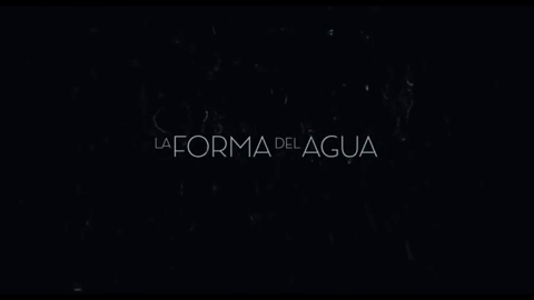 La Forma del Agua La Forma del Agua