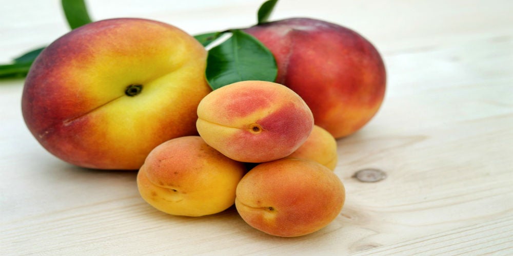 El sector de la fruta pide medidas que permitan la llegada de temporeros extranjeros El sector de la fruta pide medidas que permitan la llegada de temporeros extranjeros