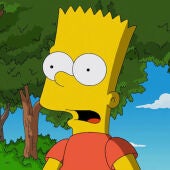 Bart-Simpson.jpg