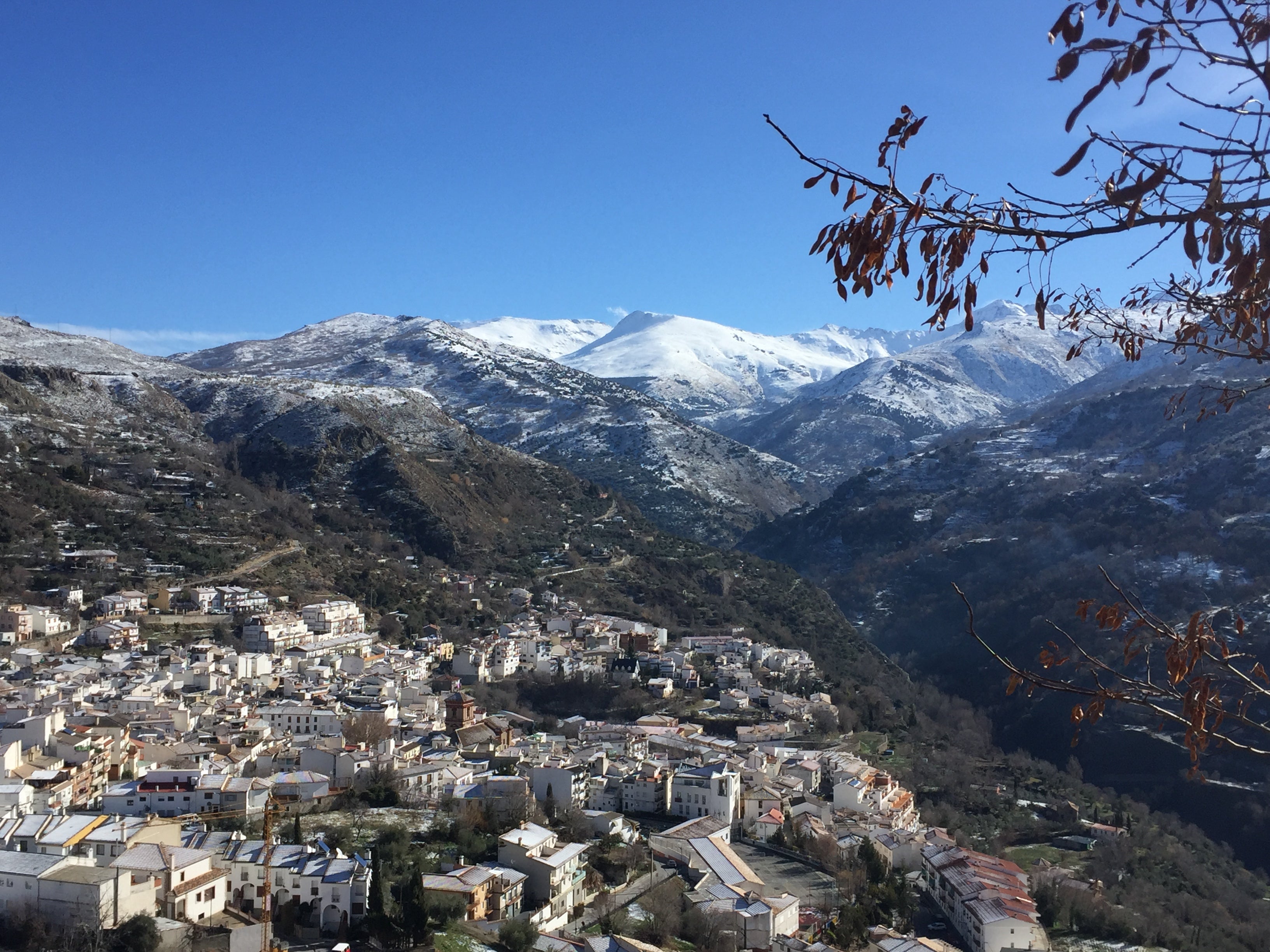 Vuelve la Fiesta de la Asadura Matancera a Güejar Sierra Vuelve la Fiesta de la Asadura Matancera a Güejar Sierra
