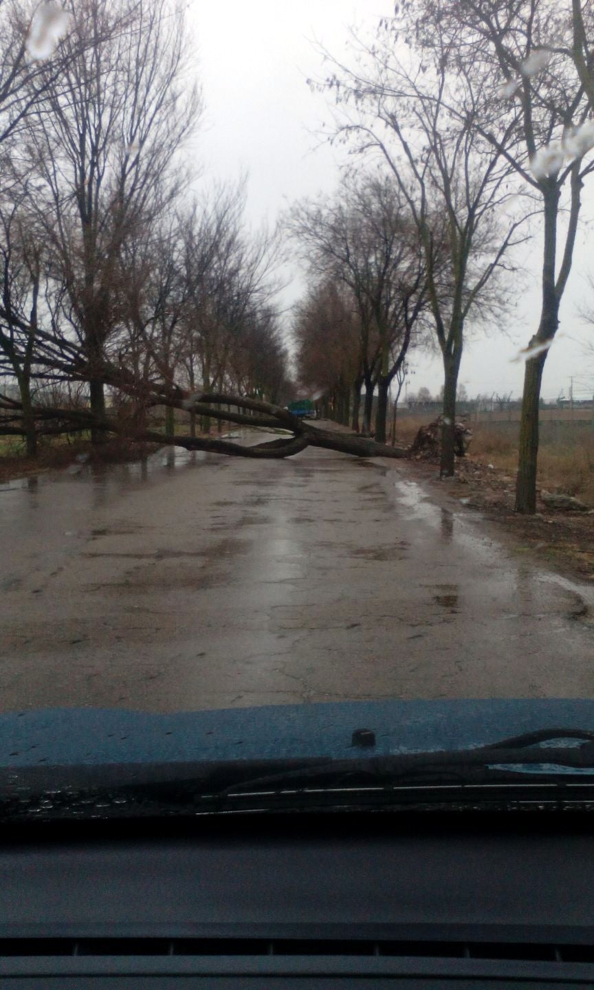 Un tornado causa daños materiales en Villarrubia de los Ojos Un tornado causa daños materiales en Villarrubia de los Ojos
