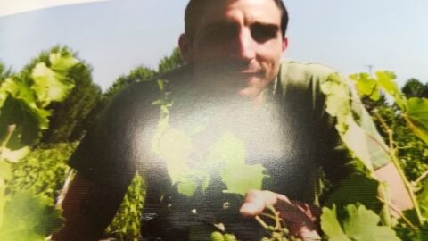 Vi&ntilde;as en Adrados