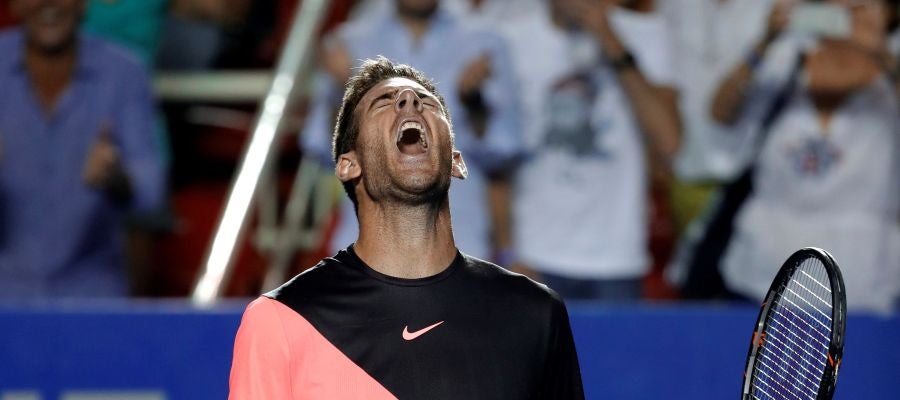 Del Potro, tras vencer a Thiem Del Potro, tras vencer a Thiem