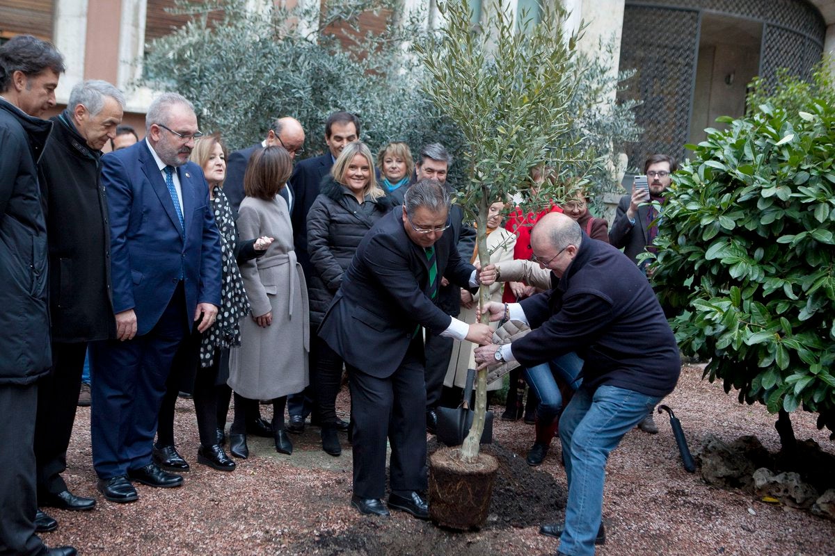 Un olivo recuerda en el Ministerio del Interior a las 193 víctimas del 11-M Un olivo recuerda en el Ministerio del Interior a las 193 víctimas del 11-M