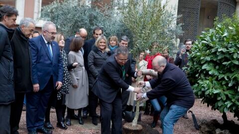 Juan Ignacio Zoido plantando el olivo