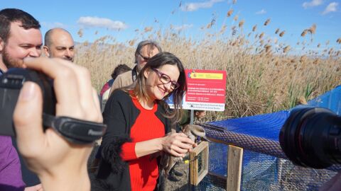 M&oacute;nica Oltra en el Parque Natural El Hondo Crevillent-Elche
