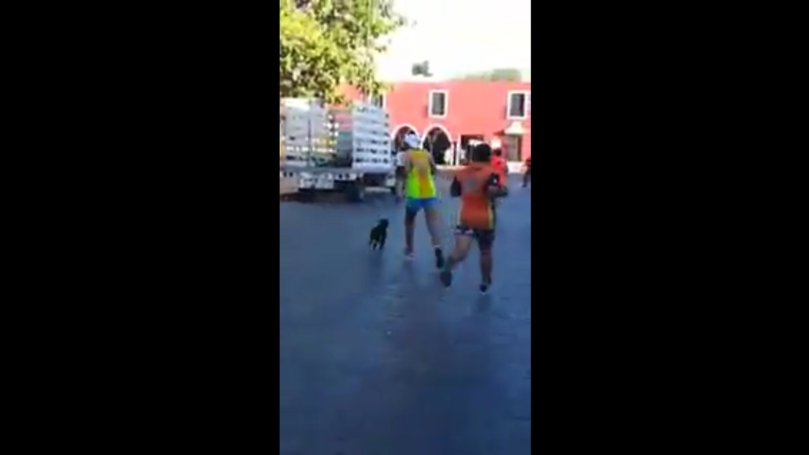 La brutal agresión de un corredor a un perro en plena maratón de Valladolid, México, que indigna a las redes La brutal agresión de un corredor a un perro en plena maratón de Valladolid, México, que indigna a las redes