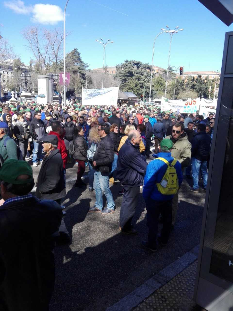 Los agricultores de Elche y de la provincia de Alicante se movilizan también este domingo en Madrid Los agricultores de Elche y de la provincia de Alicante se movilizan también este domingo en Madrid