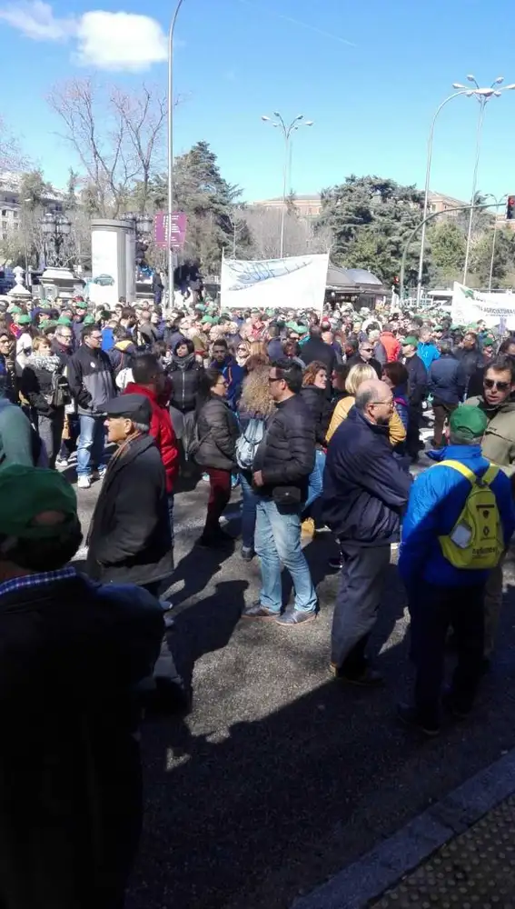 Imagen de archivo de regantes de Elche en una manifestación en Madrid. Imagen de archivo de regantes de Elche en una manifestación en Madrid.