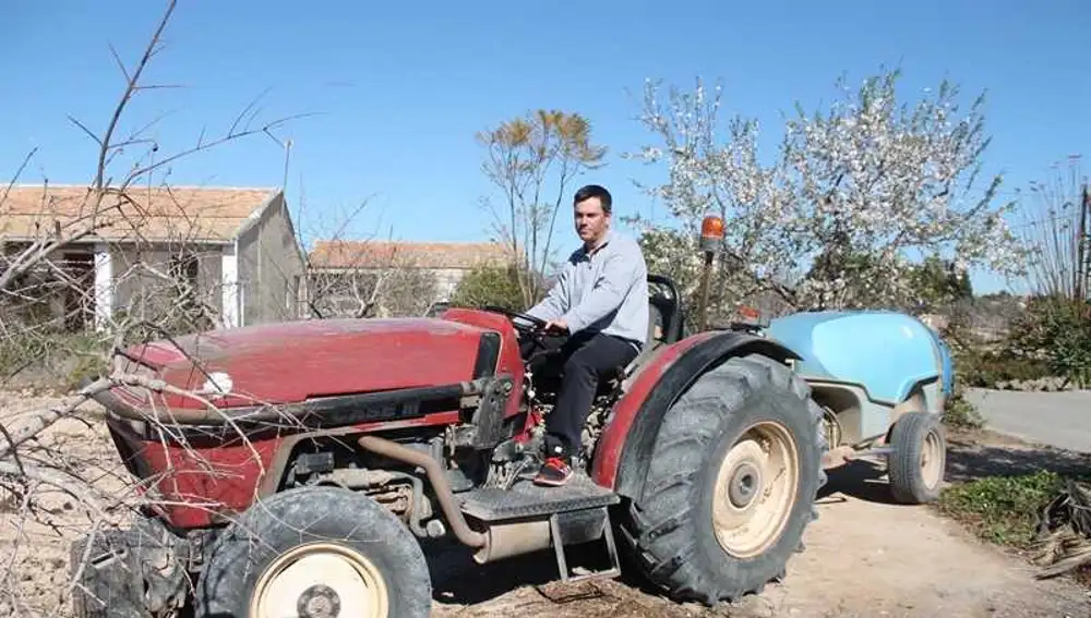 José Antonio Sempere en una de sus fincas agrícolas de Elche José Antonio Sempere en una de sus fincas agrícolas de Elche