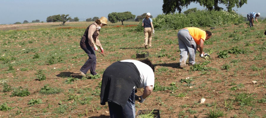La mujer en el medio rural La mujer en el medio rural
