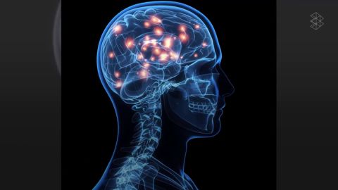 &iquest;Qu&eacute; pasa en el cerebro instantes antes de la muerte?