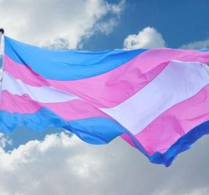 La bandera de los transexuales La bandera de los transexuales