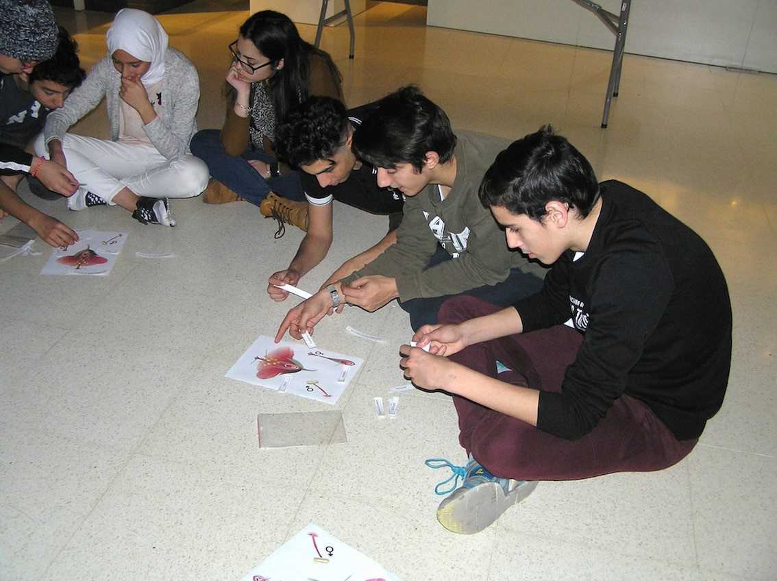 El MUPE pone sus colecciones a disposición de la lucha contra la exclusión social de los jóvenes El MUPE pone sus colecciones a disposición de la lucha contra la exclusión social de los jóvenes