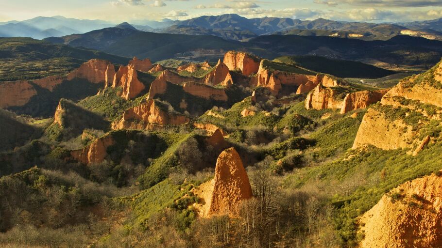 Las M&eacute;dulas