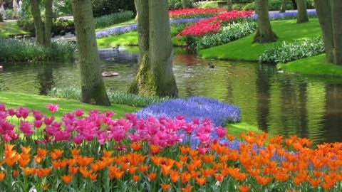 Jardines Keukenhof