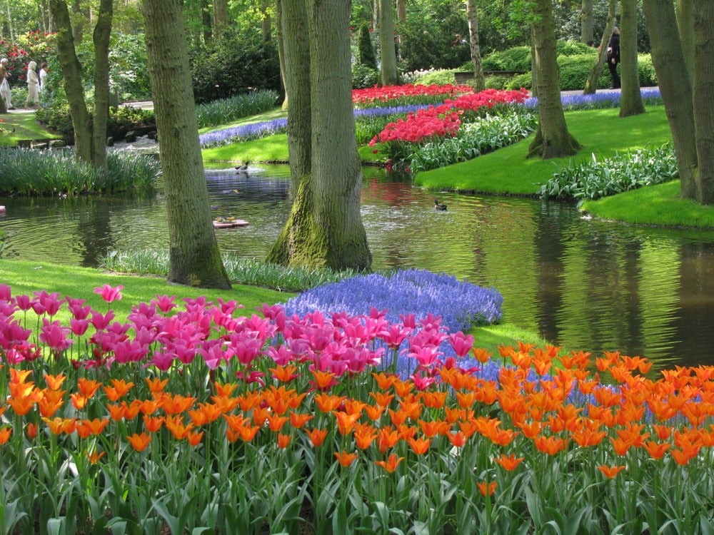 Canciones sobre jardines