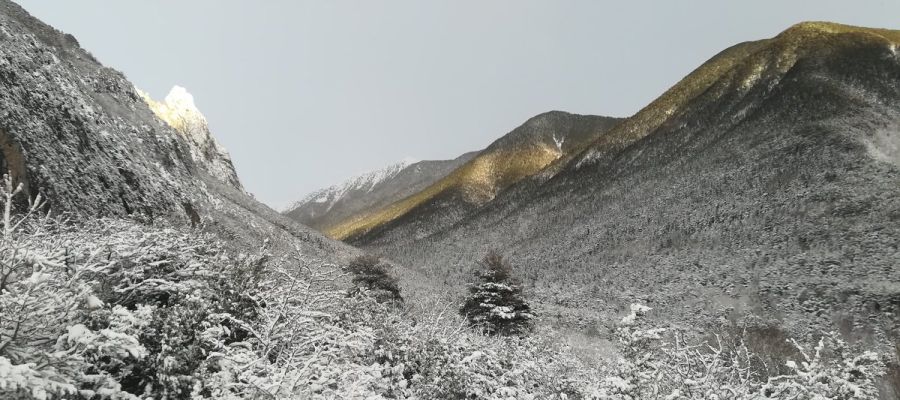 Nieve en los Pirineos Nieve en los Pirineos