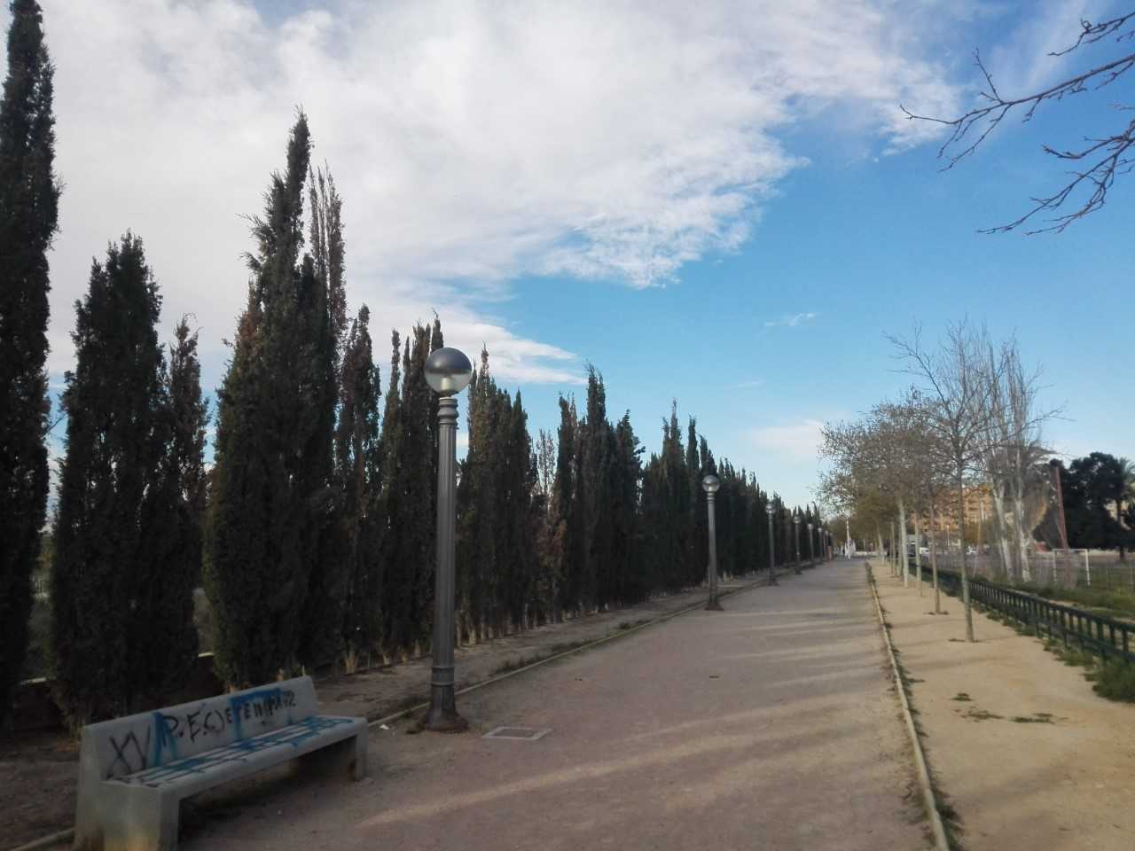 El ambiente gélido y ventoso recibe a la primavera en Elche, Crevillent y Santa Pola El ambiente gélido y ventoso recibe a la primavera en Elche, Crevillent y Santa Pola