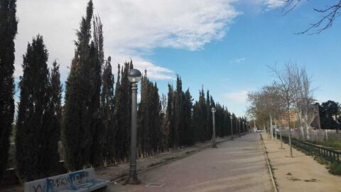 Barrio Altabox-Universidad de Elche