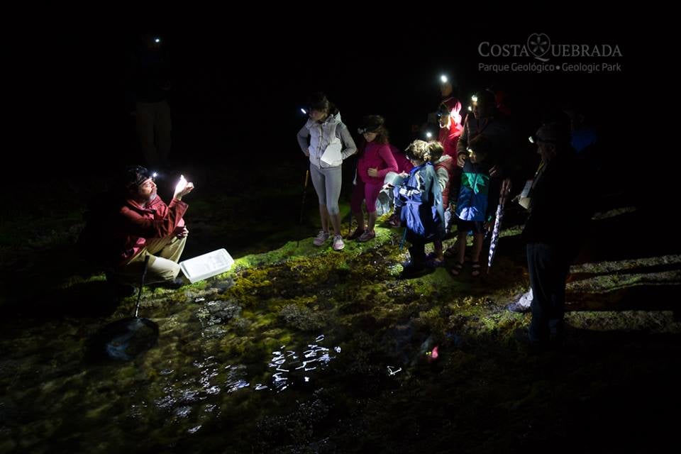 Aquí en la Onda Cantabria. Medio Ambiente: Gustavo Gutiérrez Aquí en la Onda Cantabria. Medio Ambiente: Gustavo Gutiérrez