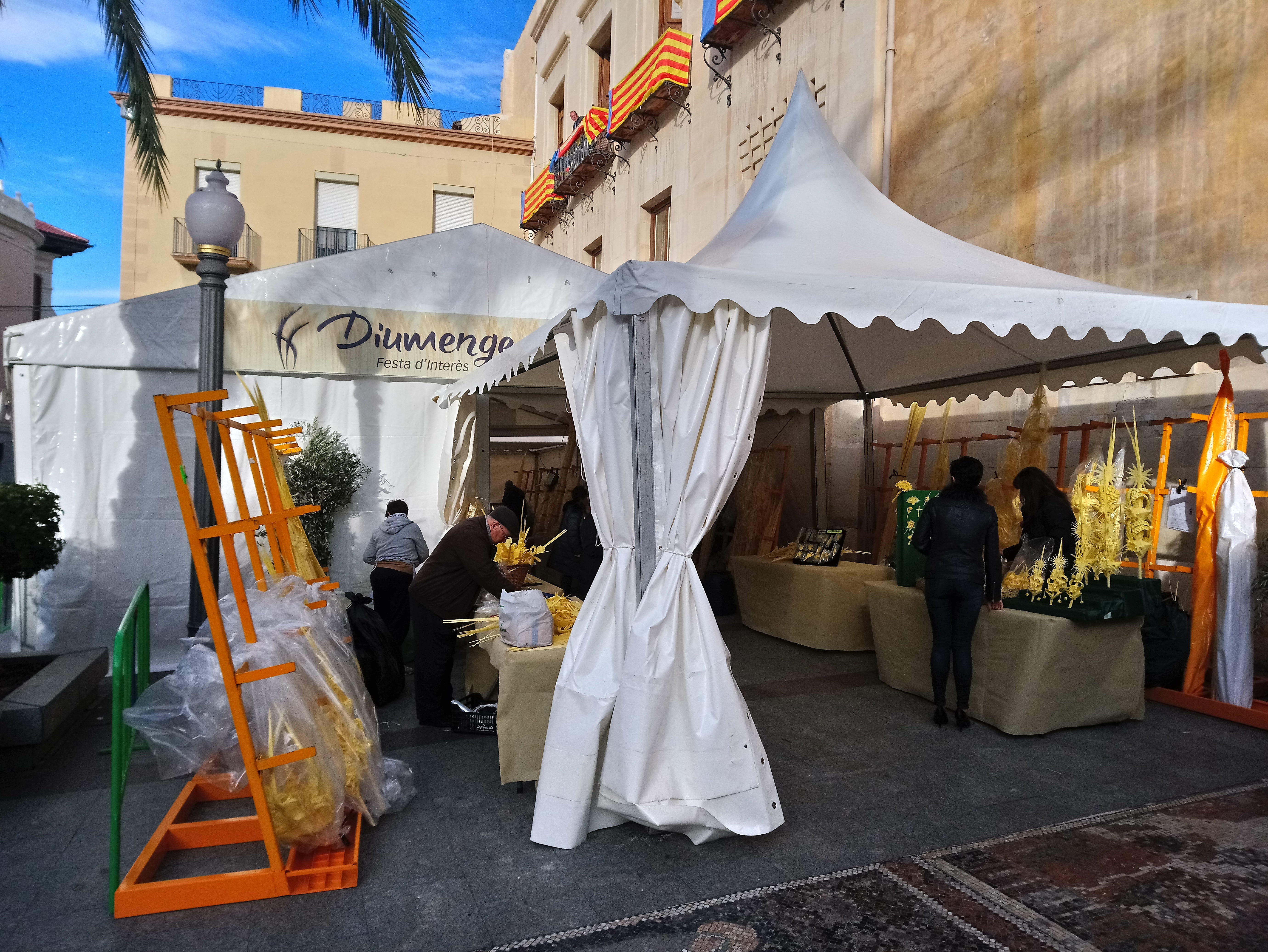 El PP pide explicaciones a Agricultura por dejar sin ayudas al sector de la palma blanca El PP pide explicaciones a Agricultura por dejar sin ayudas al sector de la palma blanca