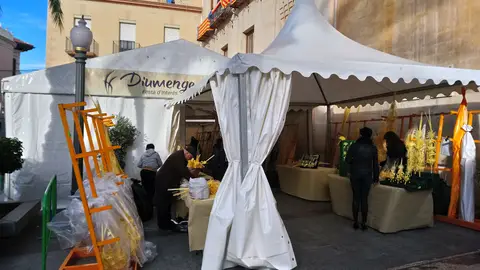 Mercado de Palma Blanca Elche