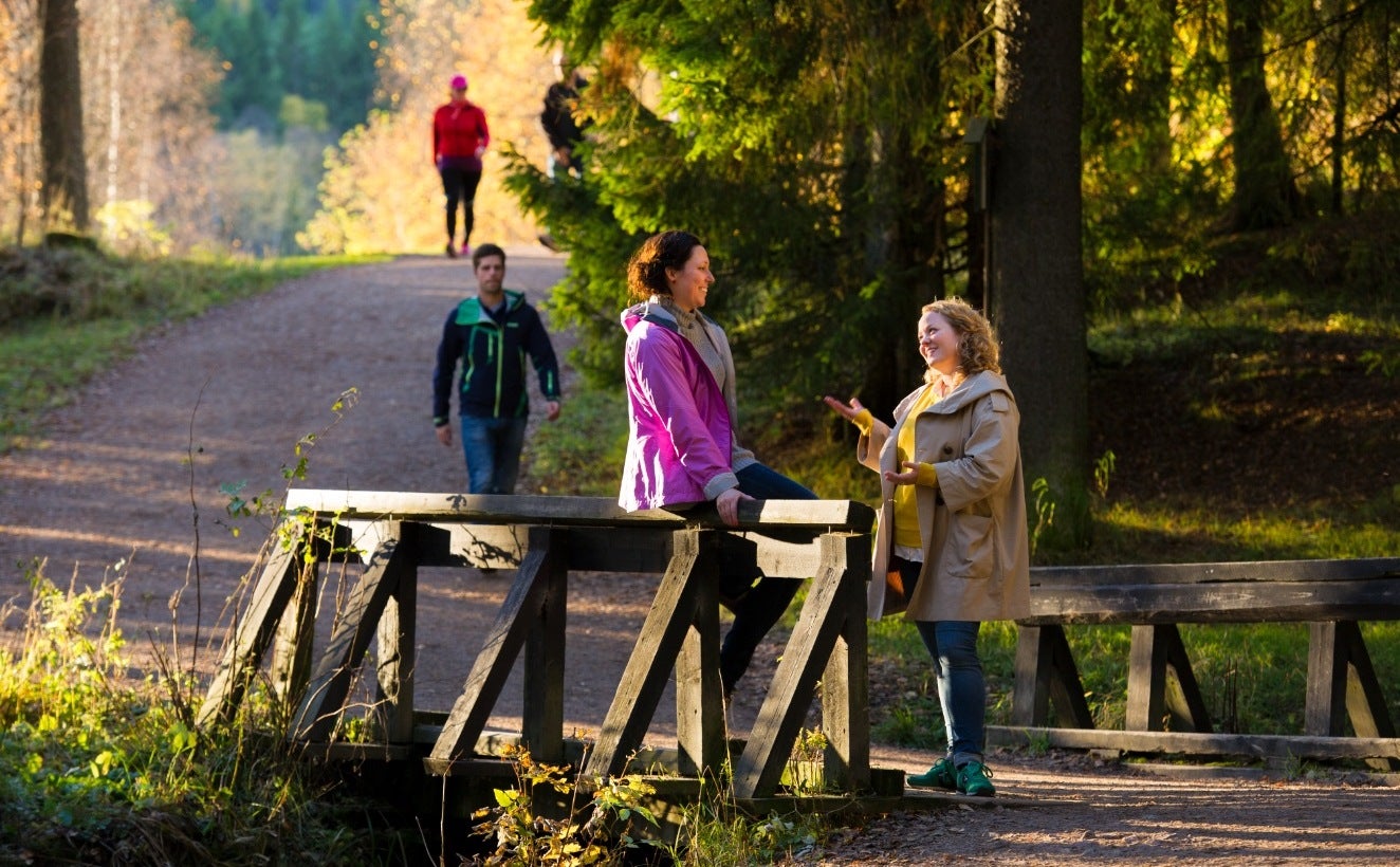 La comarca Miajadas-Trujillo ofrece durante esta primavera un programa de ocho rutas guiadas para conocer su patrimonio La comarca Miajadas-Trujillo ofrece durante esta primavera un programa de ocho rutas guiadas para conocer su patrimonio