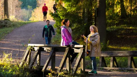 Senderismo en grupo Consejos para senderistas principiantes