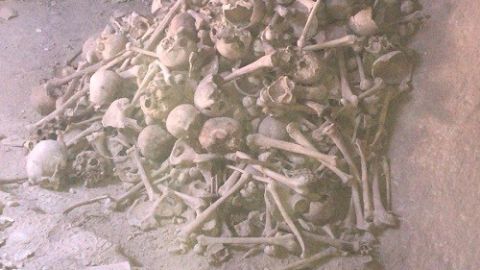 Cr&aacute;neos y huesos que han aparecido en la Iglesia de la Asunci&oacute;n de Valdepe&ntilde;as