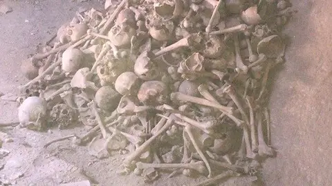 Cráneos y huesos que han aparecido en la Iglesia de la Asunción de Valdepeñas Cráneos y huesos que han aparecido en la Iglesia de la Asunción de Valdepeñas