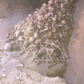 Cráneos y huesos que han aparecido en la Iglesia de la Asunción de Valdepeñas