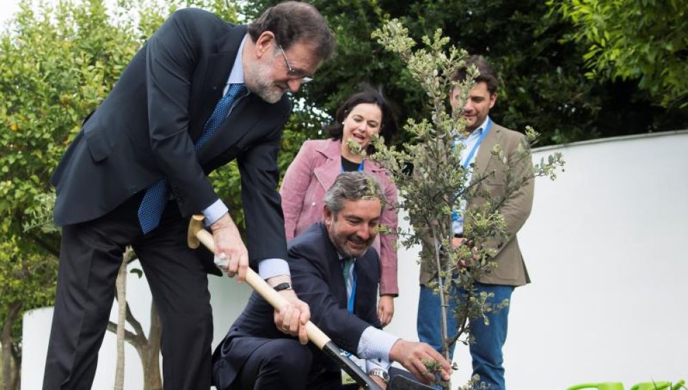 Rajoy plantando la encina en Sevilla