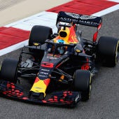 Daniel Ricciardo en pista