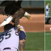 Un águila se posa sobre un jugador de béisbol