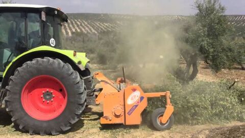 Una m&aacute;quina trituradora de ramas trabaja tras la poda de olivos en Ja&eacute;n