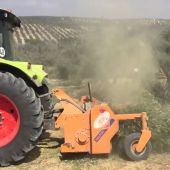 Una máquina trituradora de ramas trabaja tras la poda de olivos en Jaén