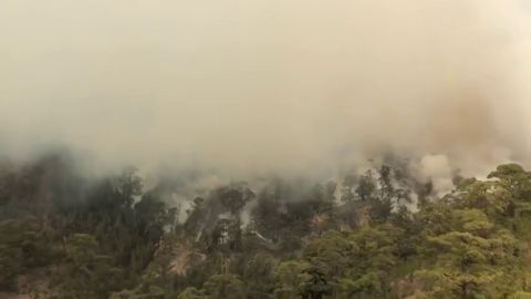 Efectivos del Cabildo y de la UME reanudan las labores de extinci&oacute;n del incendio que afecta al sur de Tenerife