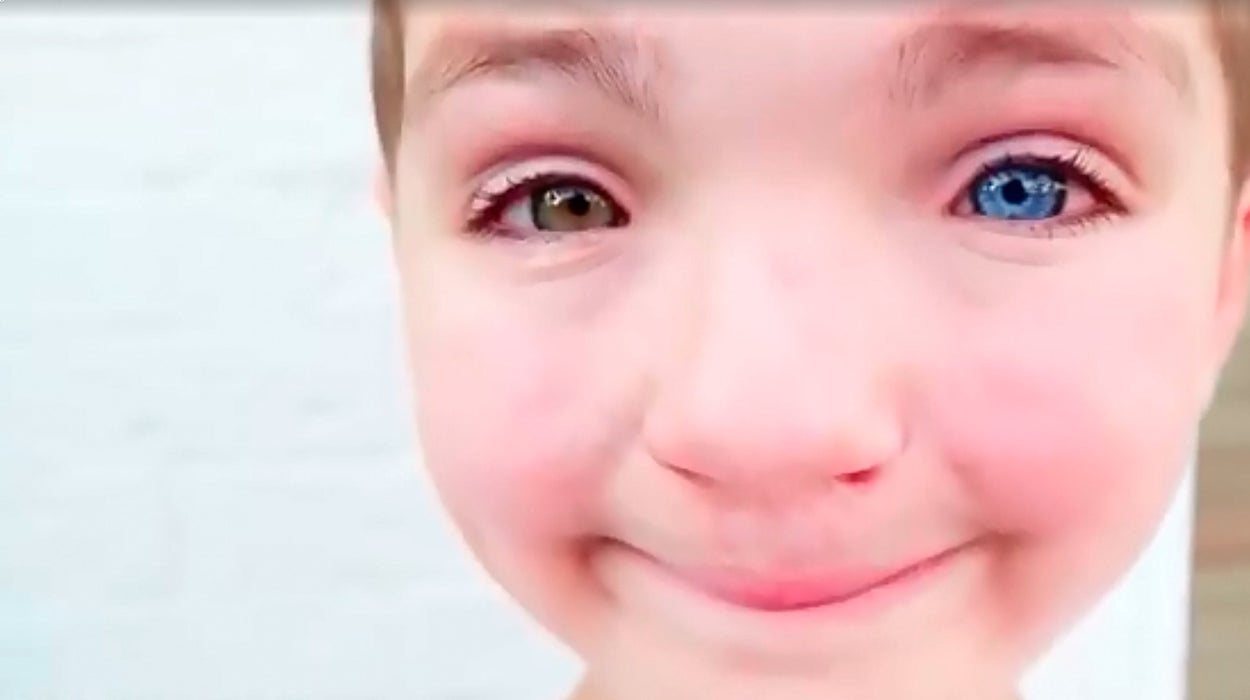 La conmovedora historia de Madden, un niño de 7 años que ha logrado superar el acoso escolar gracias a su gato La conmovedora historia de Madden, un niño de 7 años que ha logrado superar el acoso escolar gracias a su gato