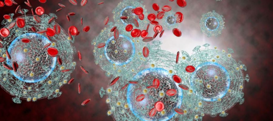 Nuevo agente antirretroviral frente al VIH