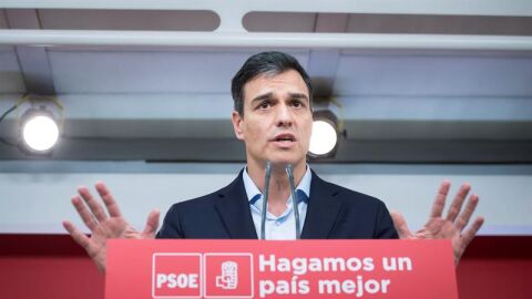 Pedro S&aacute;nchez