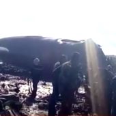 Mueren al menos 257 personas al estrellarse un avión de las Fuerzas Aéreas de Argel