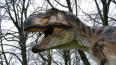 Tiranosaurio Rex Tiranosaurio Rex