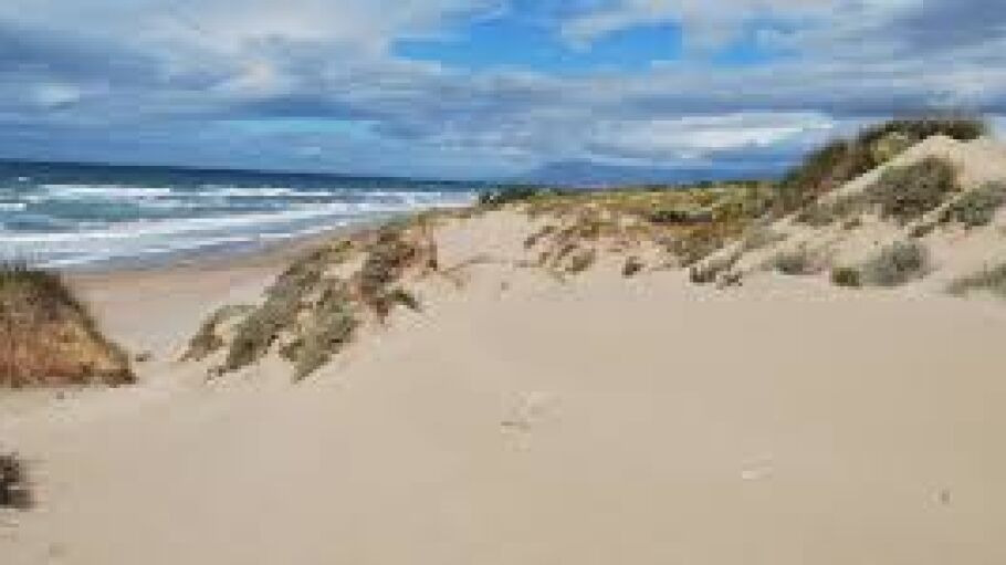 DUNAS DE ARTOLA