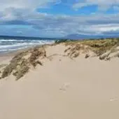 DUNAS DE ARTOLA DUNAS DE ARTOLA