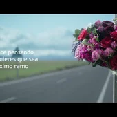 Ponle Freno visibiliza con ramos de flores su lucha para combatir las víctimas por accidentes de tráfico Ponle Freno visibiliza con ramos de flores su lucha para combatir las víctimas por accidentes de tráfico