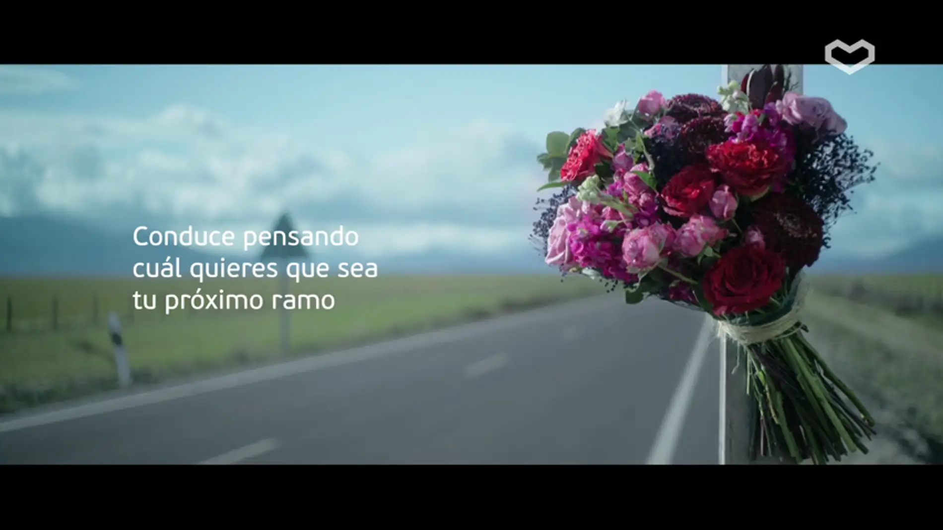 Ponle Freno visibiliza con ramos de flores su lucha para combatir las víctimas por accidentes de tráfico 